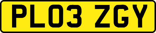 PL03ZGY