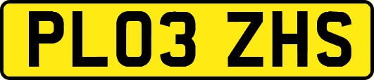 PL03ZHS