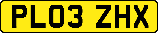 PL03ZHX