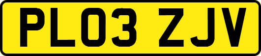 PL03ZJV