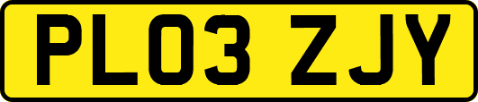 PL03ZJY