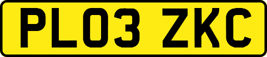 PL03ZKC