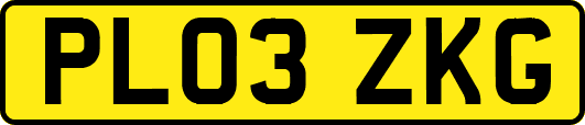 PL03ZKG