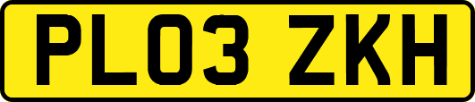 PL03ZKH