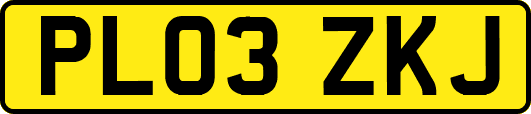 PL03ZKJ