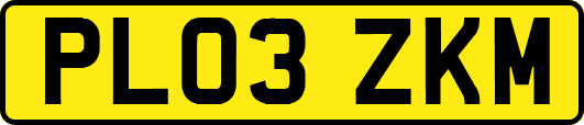 PL03ZKM