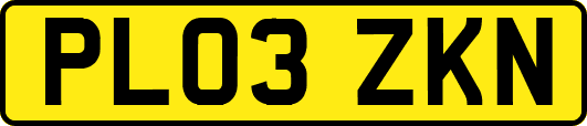 PL03ZKN