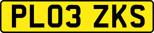 PL03ZKS