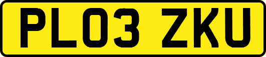 PL03ZKU
