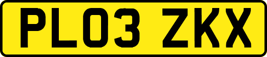 PL03ZKX