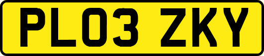 PL03ZKY