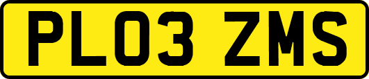 PL03ZMS