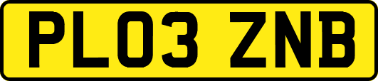 PL03ZNB