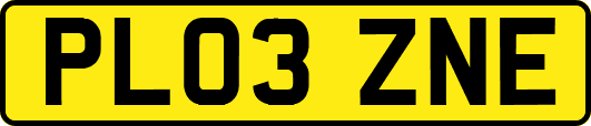 PL03ZNE