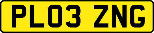 PL03ZNG