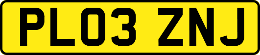 PL03ZNJ