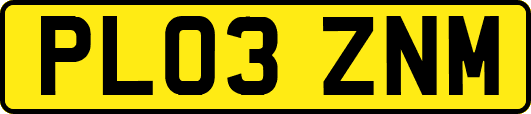PL03ZNM
