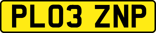PL03ZNP