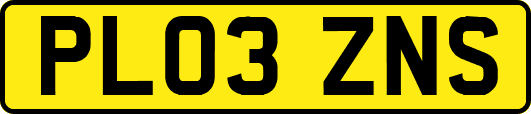 PL03ZNS