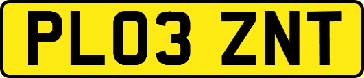 PL03ZNT