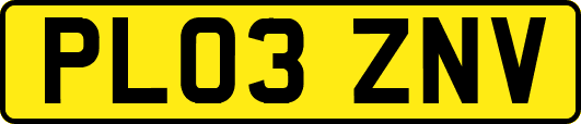 PL03ZNV