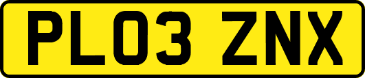 PL03ZNX