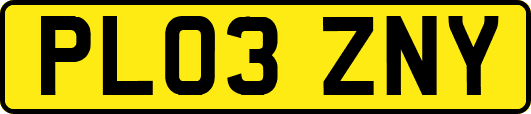 PL03ZNY