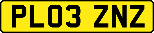 PL03ZNZ