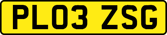 PL03ZSG
