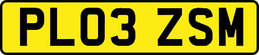 PL03ZSM