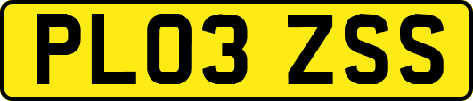 PL03ZSS