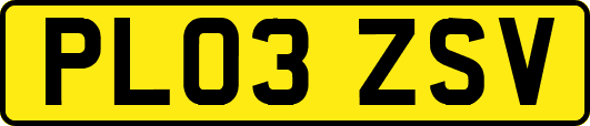 PL03ZSV