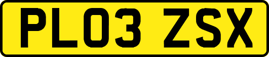 PL03ZSX