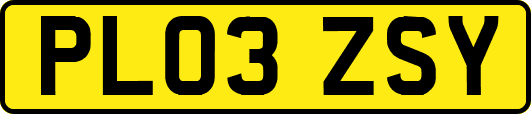 PL03ZSY