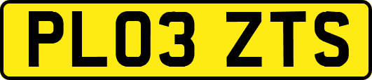 PL03ZTS