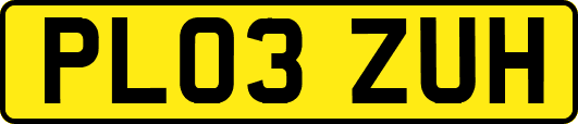 PL03ZUH
