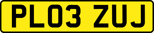 PL03ZUJ