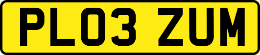 PL03ZUM