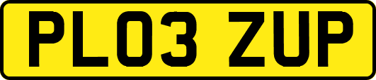 PL03ZUP