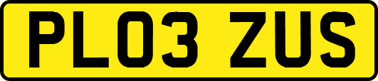 PL03ZUS