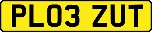 PL03ZUT