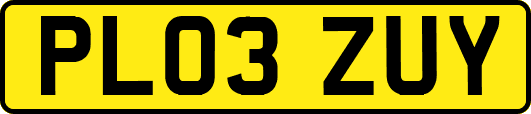 PL03ZUY