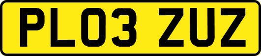 PL03ZUZ