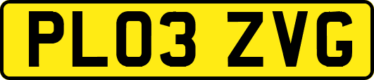 PL03ZVG