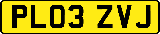 PL03ZVJ