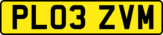 PL03ZVM