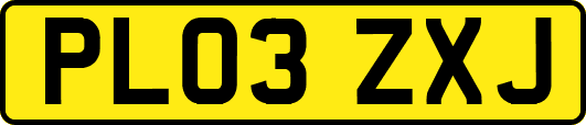 PL03ZXJ