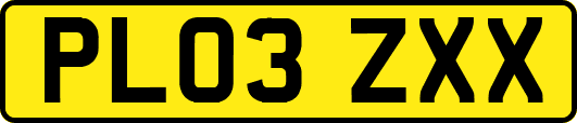 PL03ZXX
