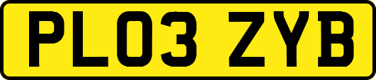 PL03ZYB