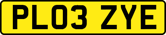 PL03ZYE